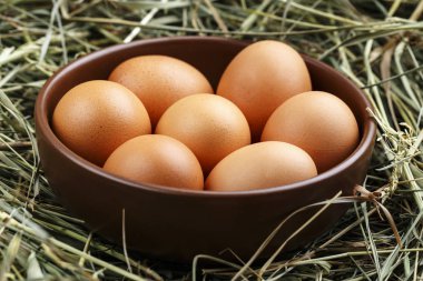 bir kil tabak saman içinde çiğ kırmızı çiftlik yumurta. tex için yer