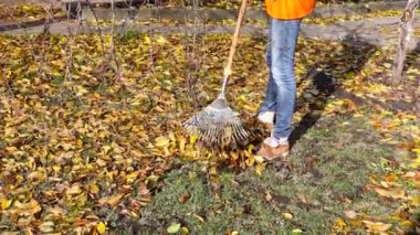 Sonbahar yaprakları kadın temiz komisyon. sonbahar bahçe iş