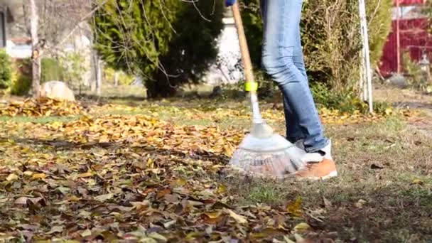 Herbst Blättert Frau Sauberen Harke Gartenarbeit Herbst — Stockvideo