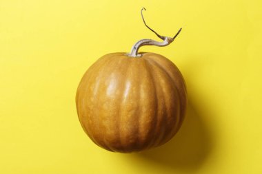 yararlı sonbahar sebze bütün kabak sarı bir arka plan üzerinde yuvarlak. tex için yer