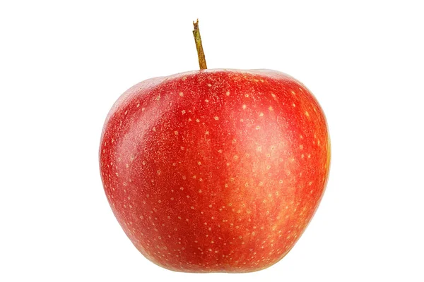 Reifer Ganzer Apfel Isoliert Auf Weißem Hintergrund Platz Für Text — Stockfoto