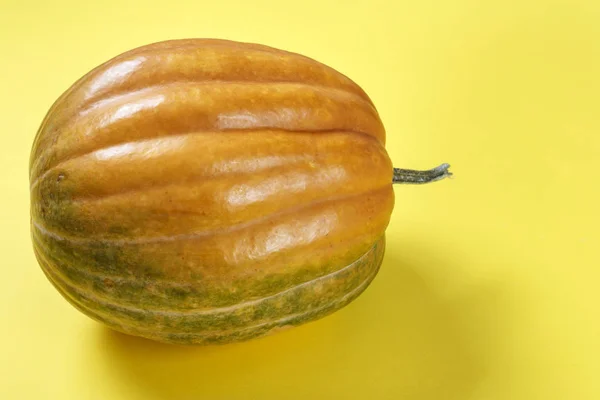 Nuttige Herfst Plantaardige Hele Ronde Pompoen Een Gele Achtergrond Plaats — Stockfoto