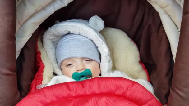 Baby jongen in een wandelwagen — Stockvideo