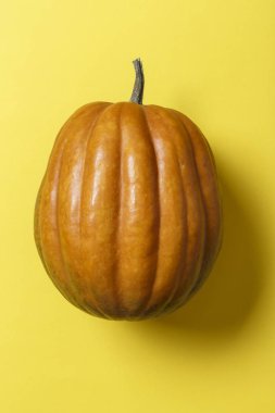 yararlı sonbahar sebze bütün kabak sarı bir arka plan üzerinde yuvarlak. tex için yer