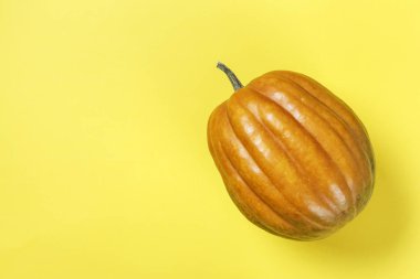 yararlı sonbahar sebze bütün kabak sarı bir arka plan üzerinde yuvarlak. tex için yer