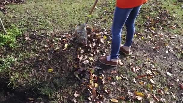 Hojas de otoño se rastrillan — Vídeo de stock