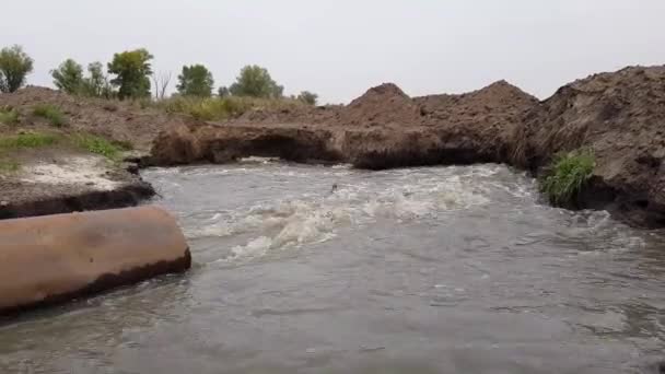 Um fluxo sujo de água flui para o rio — Vídeo de Stock