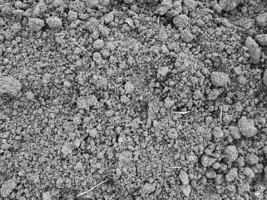 sürülmüş siyah toprak yakın çekim. Kırkambar çiftlikte büyüyen. tex için alan