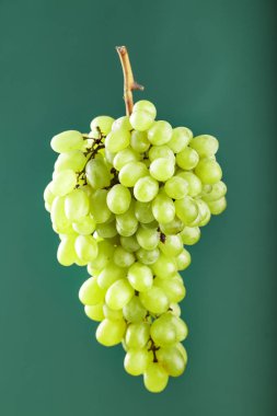 taze yeşil zemin üzerine yeşil üzüm demet. dikey phot