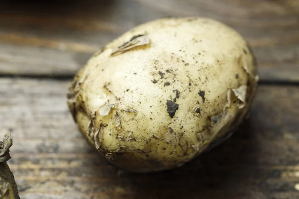 肮脏的生土豆在一个木背景特写镜头 Tex 的空间 — 图库照片