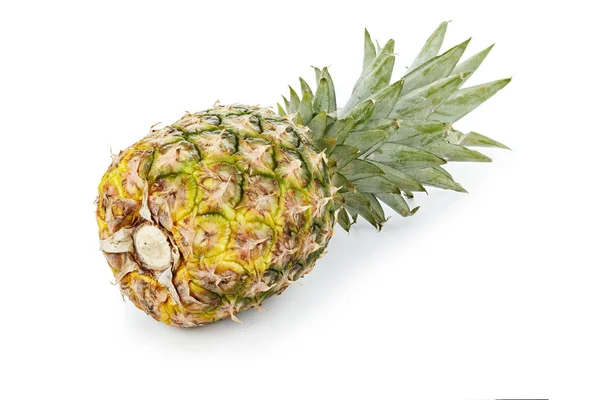 Frische Ananas Isoliert Auf Weißem Hintergrund Exotische Früchte Zum Dessert — Stockfoto