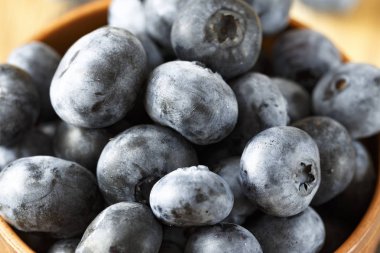 Arka plan olarak taze yaban mersini portre. tex için alan