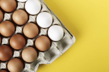 bir kağıt tepsisinde tavuk yumurtası. yakın çekim. tex için alan