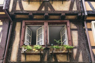 Eski bir evde perdeler ile Windows açın. Tencere cam kenarında çiçeklerin