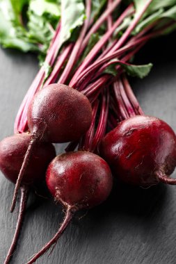 Genç pancar hasat başında siyah bir arka plan ile. tex için alan