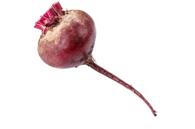 Genç pancar hasat. Beyaz arka plan üzerinde izole. tex için alan