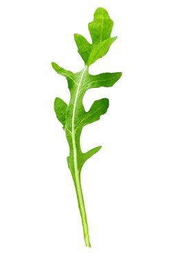 Bir yaprak roka izole beyaz zemin üzerinde. kırpma pat