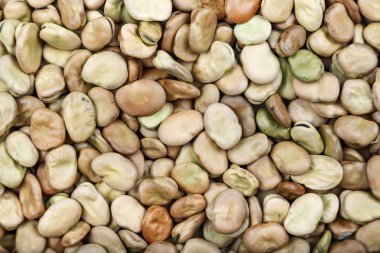 Kuru fasulye arka plan dağılmış. tex için alan