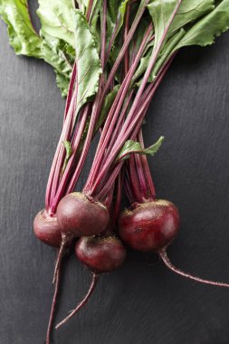 Genç pancar hasat başında siyah bir arka plan ile. tex için alan