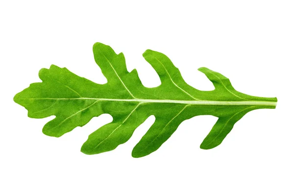 Ett Blad Ruccola Vit Bakgrund Som Isolerade Klippning Pat — Stockfoto