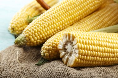 Tahta masadaki koçanlarda taze mısır, yakın plan.