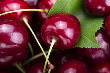 Olgun Kiraz arka plan.