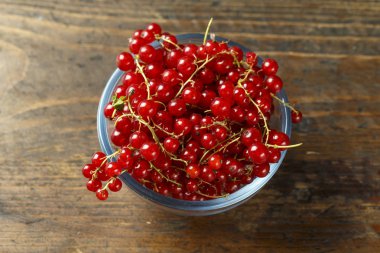 bir tabak içinde kırmızı kuş üzümü