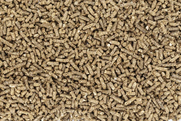 fish bait pellets