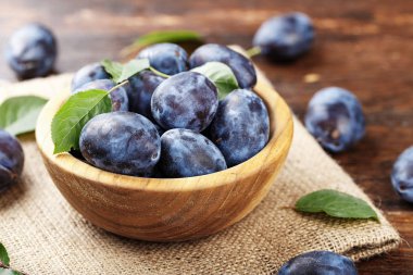 metin için taze erik yeri