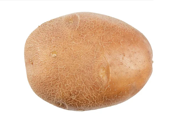 Surowego ziemniaka młody na białym tle — Zdjęcie stockowe
