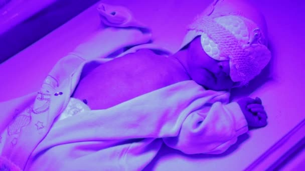 Neugeborene Unter Lampe Behandlung Von Erhöhtem Bilirubin Bei Babys — Stockvideo