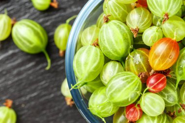 çok renkli bektaşi üzümü