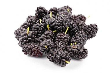 Mulberry izole demet