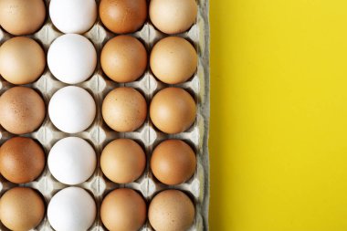Kutuda tavuk yumurtası