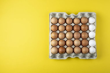 metin için tavuk yumurtası yer