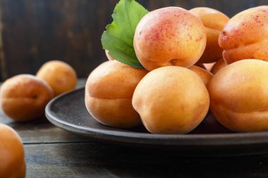 bir tabak içinde olgun kayısı