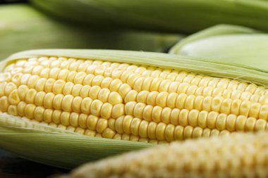 mısır başları yakın