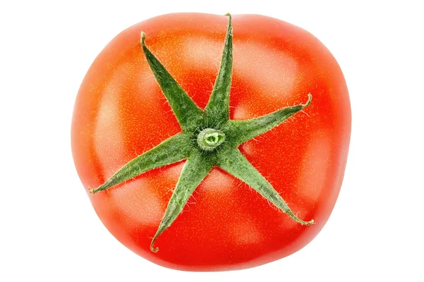 Dojrzały pomidor z zielonym uchwytem — Zdjęcie stockowe