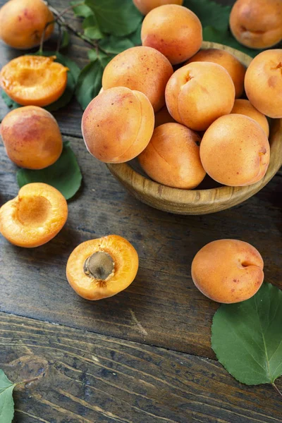 olgun kayısı hasadı