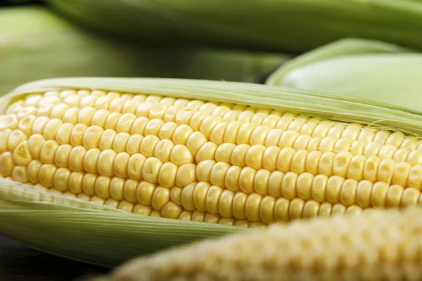 Corn heads close up — Stock Photo, Image