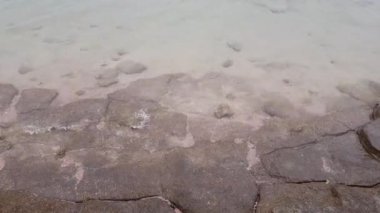 dalgalar deniz kıyısında