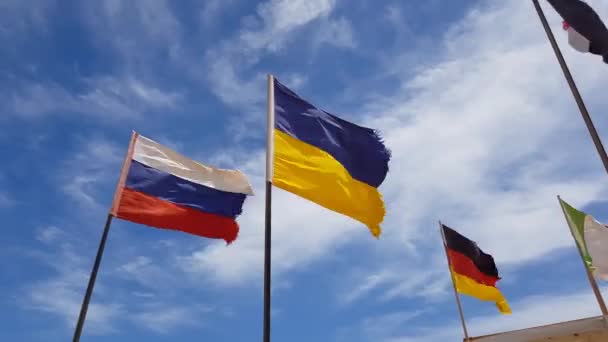 Farklı bayraklar uçan — Stok video