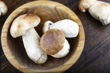 bir tabakta ham boletus