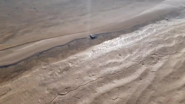 Волны реки на песчаном берегу — стоковое видео
