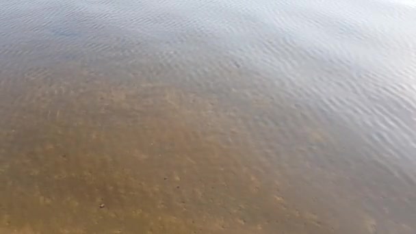 Calma agua del río — Vídeo de stock