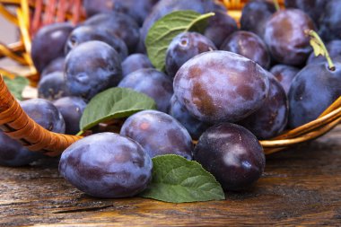 Masada olgun sulu erik ile Plaka 