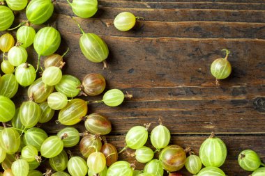 metin için bektaşi üzümü hasat yeri