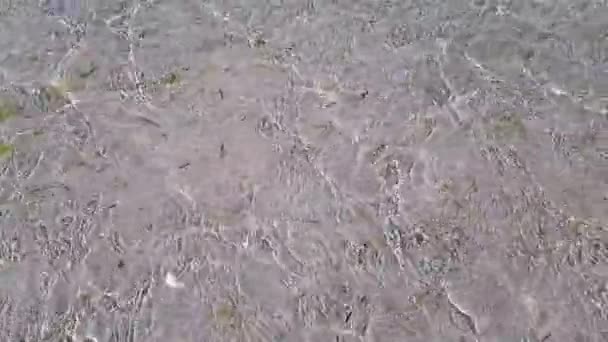 Чистая морская вода у берега — стоковое видео