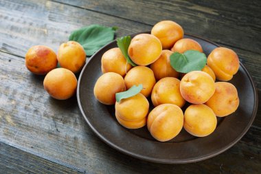 Masada yakın çekim bir plaka lezzetli olgun kayısı. 
