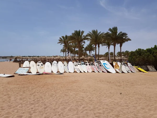 Tablas de surf de pie en filas —  Fotos de Stock